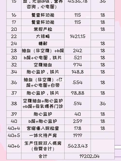 国内代怀生子费用